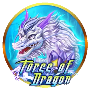 24/7 Customer Support for Poker Players